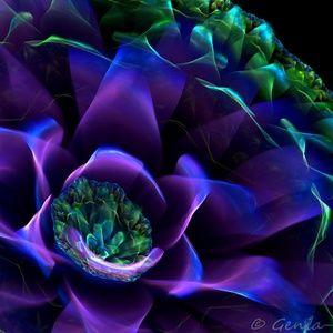 Meet your Posher, Carla